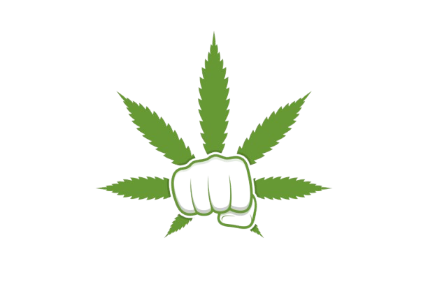 Global Marijuana Farm