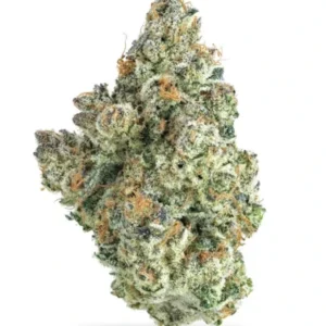 Buy Green Truffle strain online